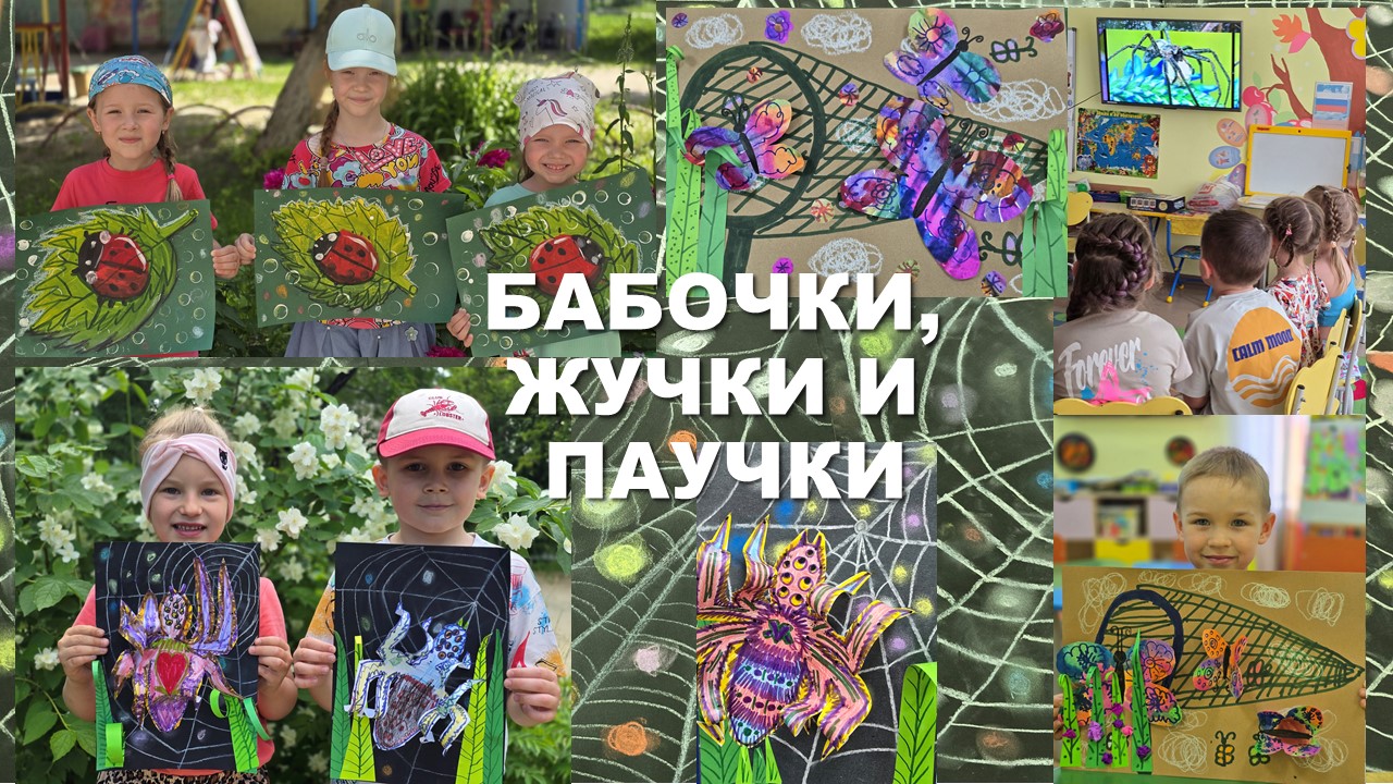 БАБОЧКИ ЖУЧКИ И ПАУЧКИ